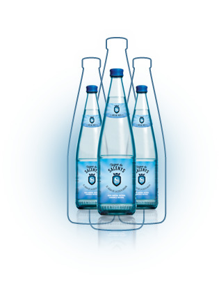 Naturally carbonated water | Aigua de Salenys - 0,5L